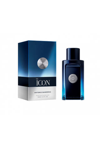 Antonio Banderas The Icon