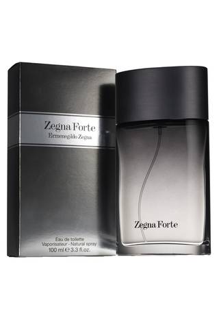 ZEGNA FORTE, 100 мл