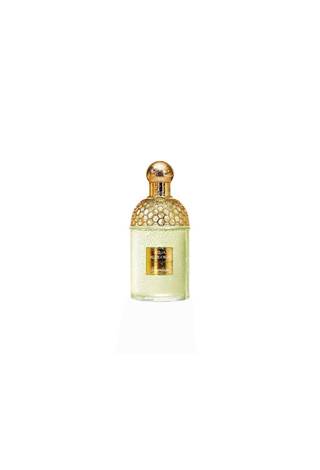 Aqua Allegoria Herba Fresca, 100МЛ